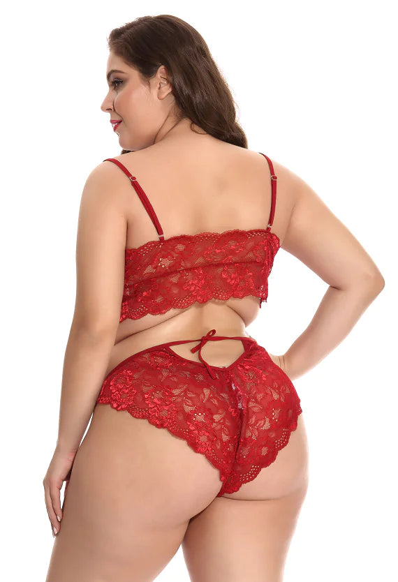 Plus Size Lingerie and Sleepwear for Amazon Supply