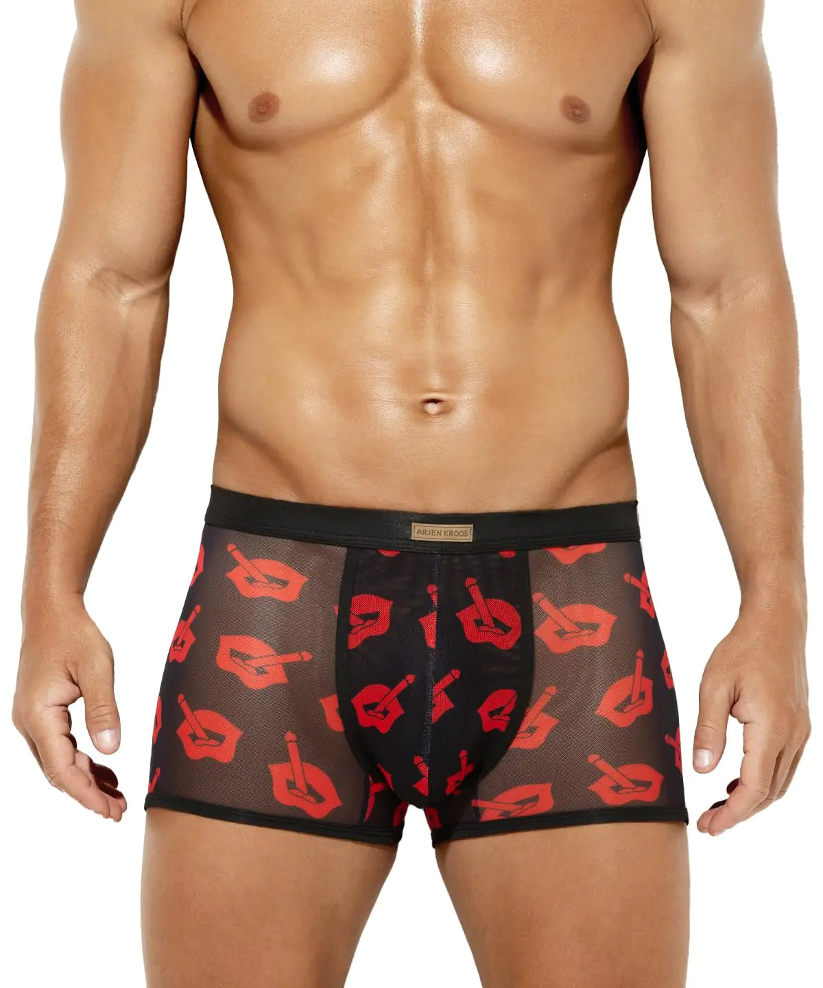 Arjen Kroos Mens Sexy Underwear Mesh Lace Boxer Briefs Lingerie Comfortable TrunksBlack PrintX-Large