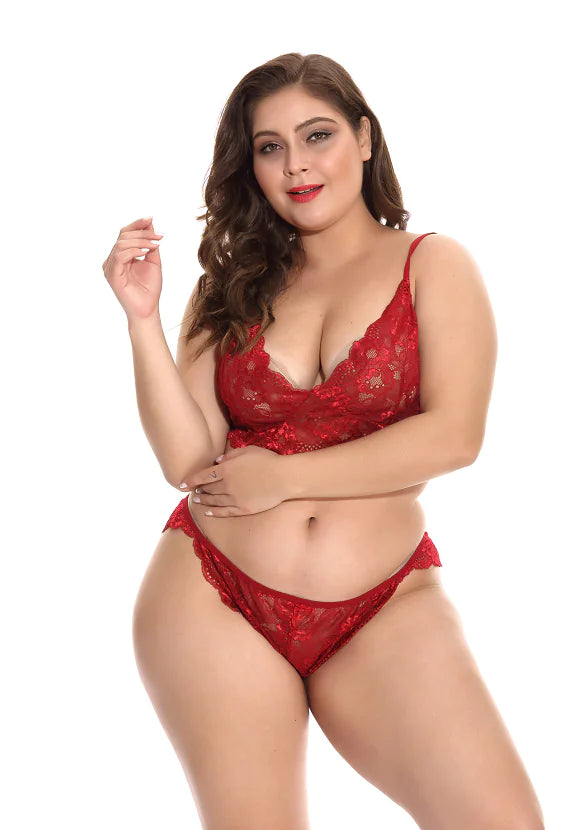 Plus Size Lingerie and Sleepwear for Amazon Supply